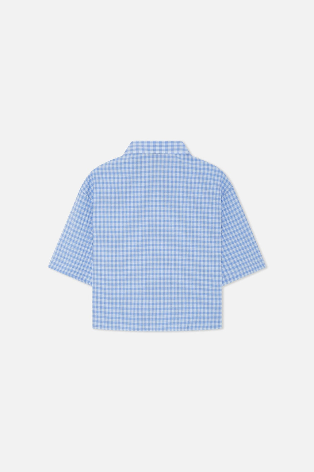 Not LA Yet Blue Checkered Shirt